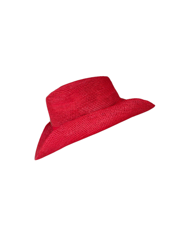Red Cowboy
