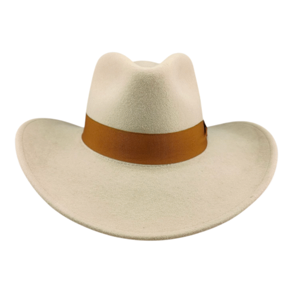 Fine Cowboy
